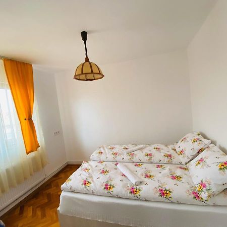 Appartamento Andrei'S House Sibiu Esterno foto