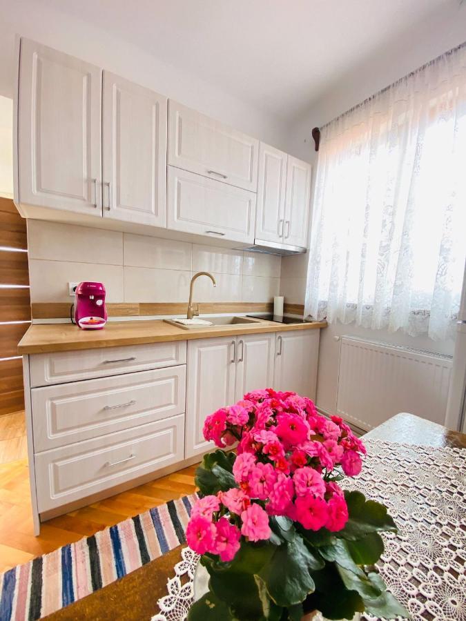 Appartamento Andrei'S House Sibiu Esterno foto