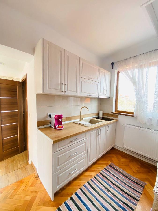 Appartamento Andrei'S House Sibiu Esterno foto
